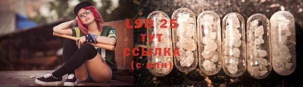 индика Аша