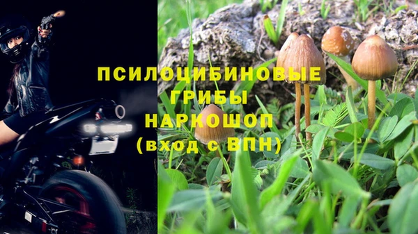 стафф Ахтубинск