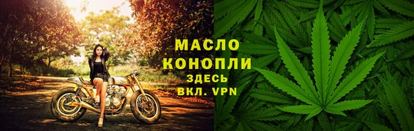 индика Аша