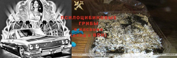 индика Аша