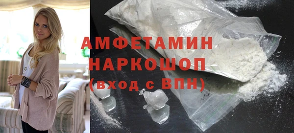 индика Аша