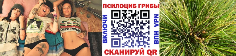 omg вход  Солнечногорск  Галлюциногенные грибы ЛСД 