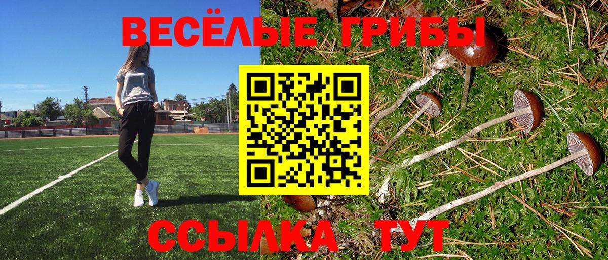 где найти наркотики  Галлюциногенные грибы GOLDEN TEACHER  Вход с VPN  Солнечногорск 